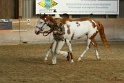 22-APHA HTB_008